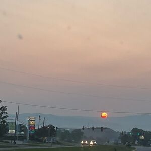 Meet your Posher, Rhina